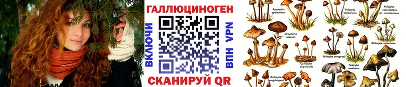 blacksprut tor Нязепетровск Галлюциногенные грибы Psilocybe что такое наркотик